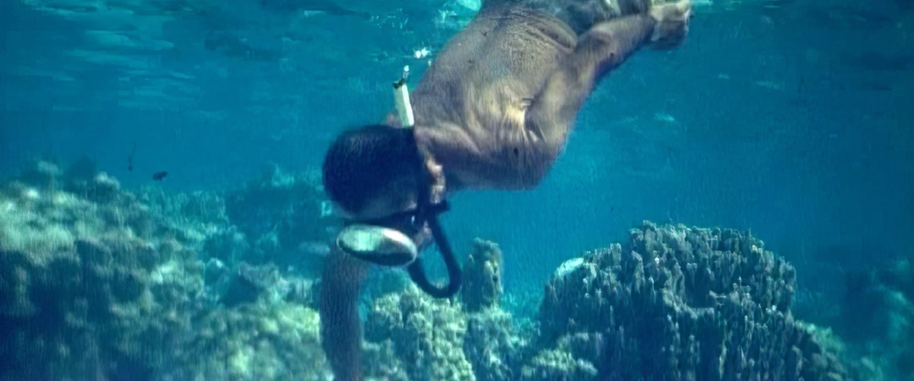 Mémoires de Polynésie - Pêche aux bénitiers à Tupai