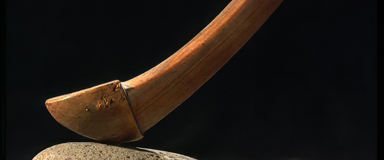 Te faufaa tupuna - Crosse de jeu (Reo Tahiti)