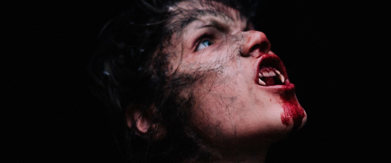 Wolfkin - Pele de Lobo