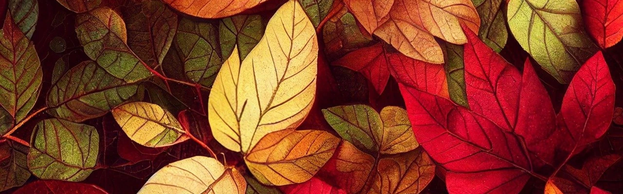 Quiz Balade Automnale