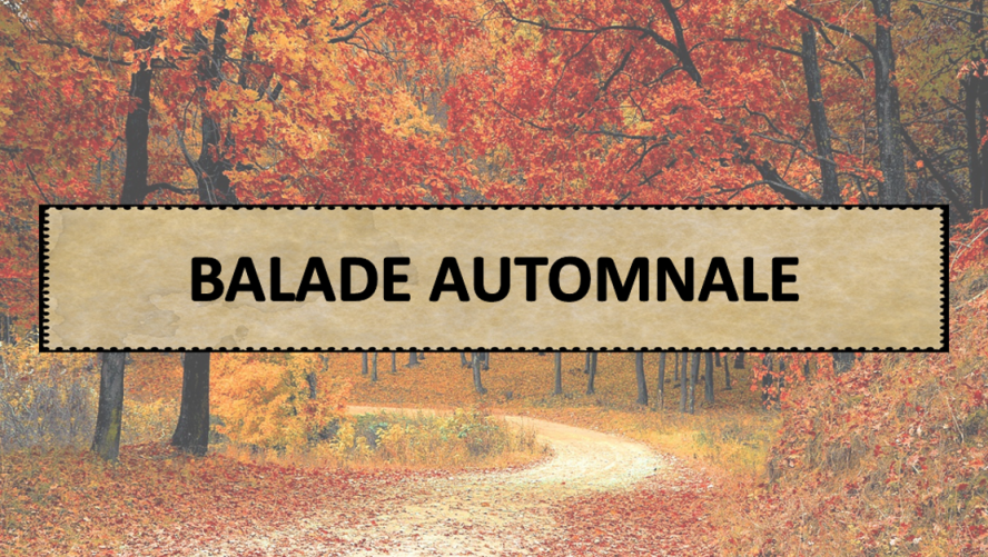 Quiz Balade Automnale