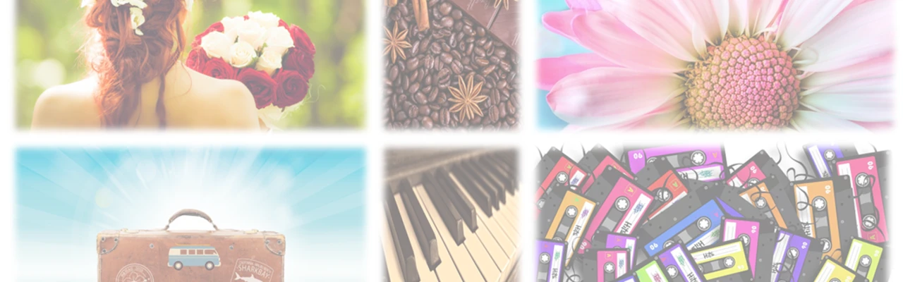 Quiz Multi-Thèmes - Facile