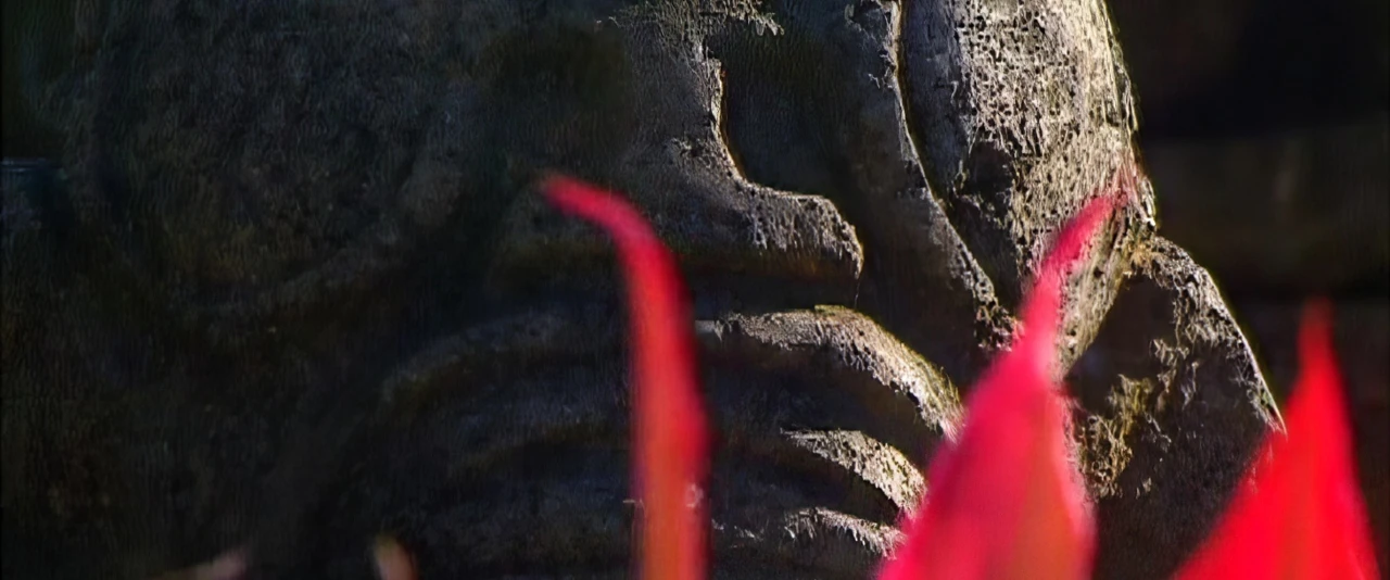 Hiro'a - La bible et la langue marquisienne avec Monseigneur Leclea'ch