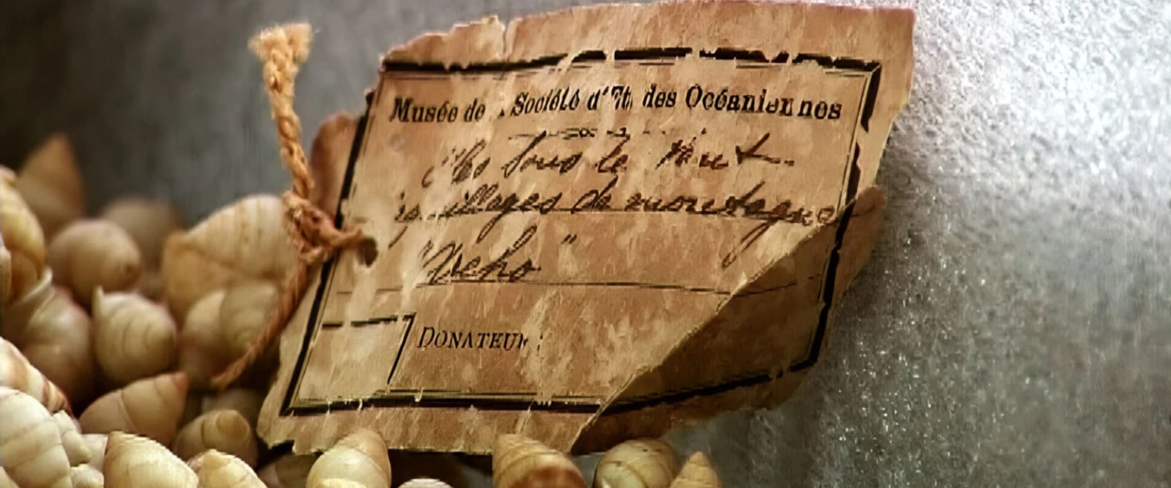 Hiro'a - Archéologie en Polynésie avec Pierre Vérin