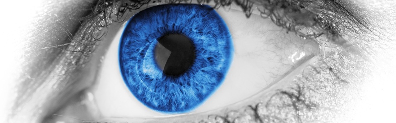 Atelier Mémoire - Le jeu des 7 différences