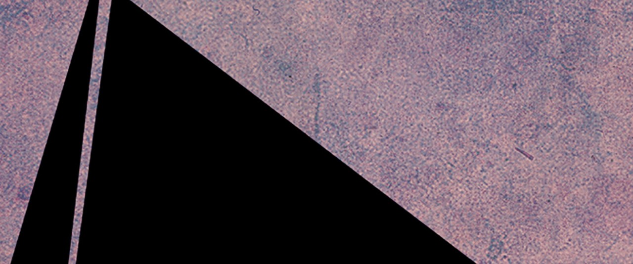 While no one is watching