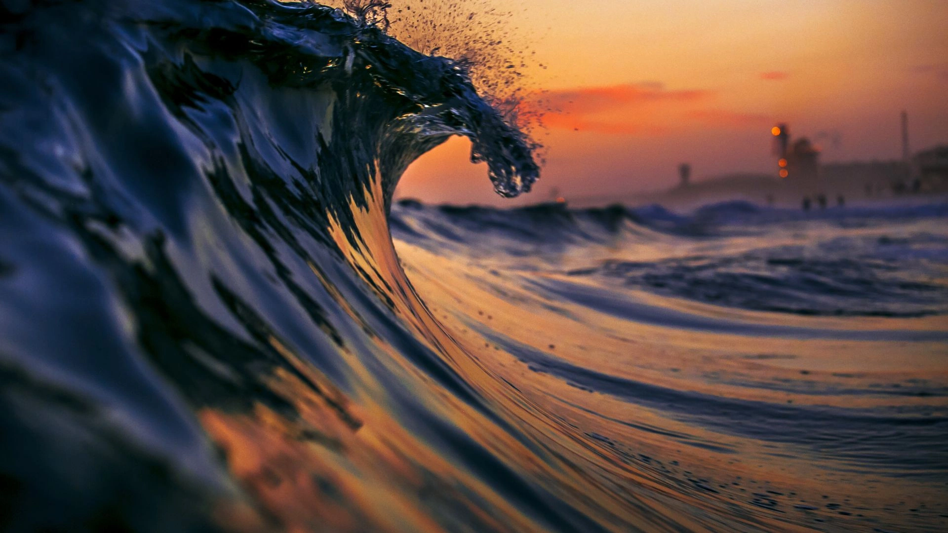 Le plein de vitalité