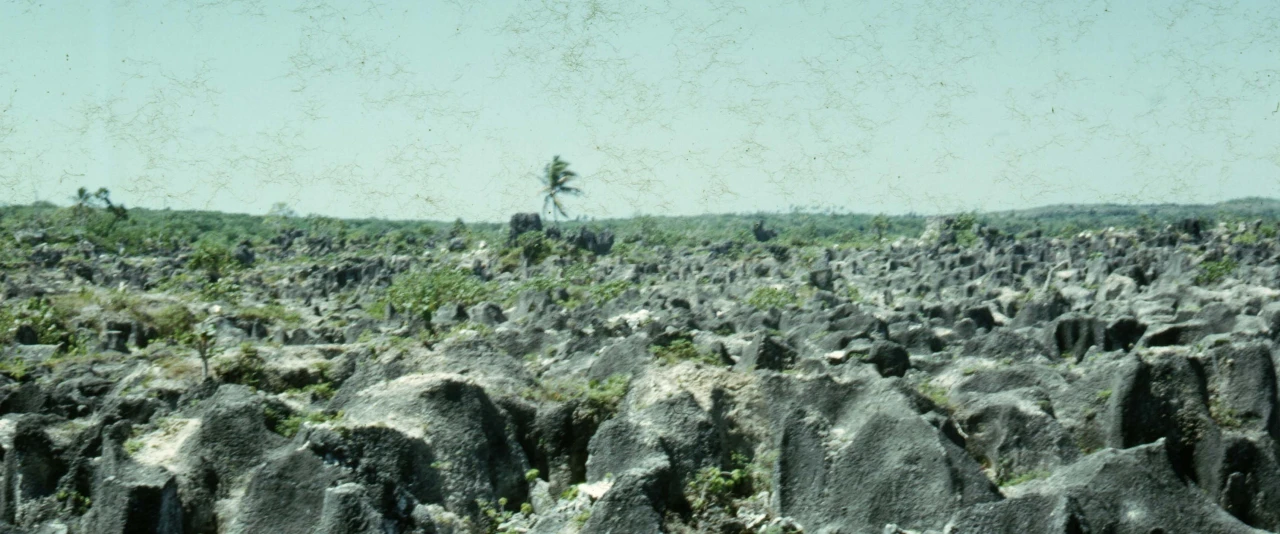 Hiro'a - Paul Bourgeois - Makatea et le phosphate