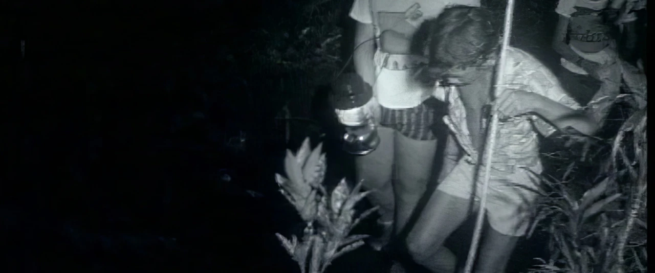 La pêche aux chevrettes