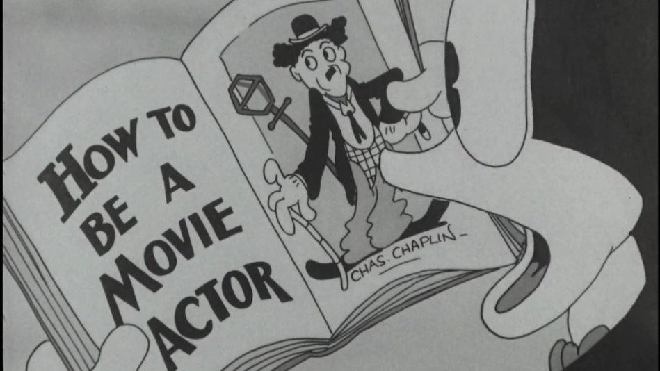 Collection Flip la grenouille