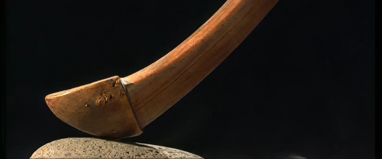 Te faufaa tupuna - Crosse de jeu