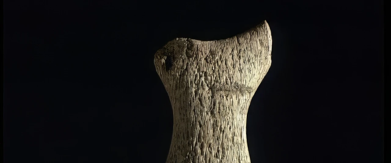 Te faufaa tupuna - Patu en os