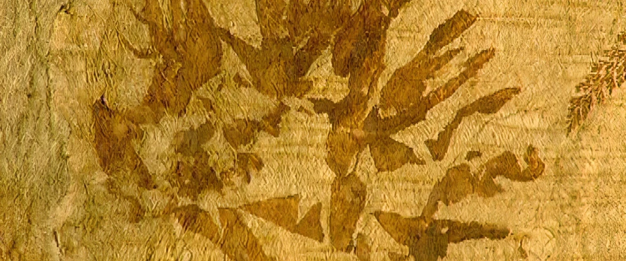 Te faufaa tupuna - Tiputa de Hooper (Reo tahiti)