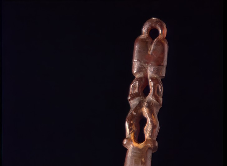 Te faufaa tupuna - Perce-oreille en écaille (Reo tahiti)