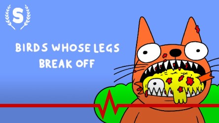 Birds whose Legs Break Off