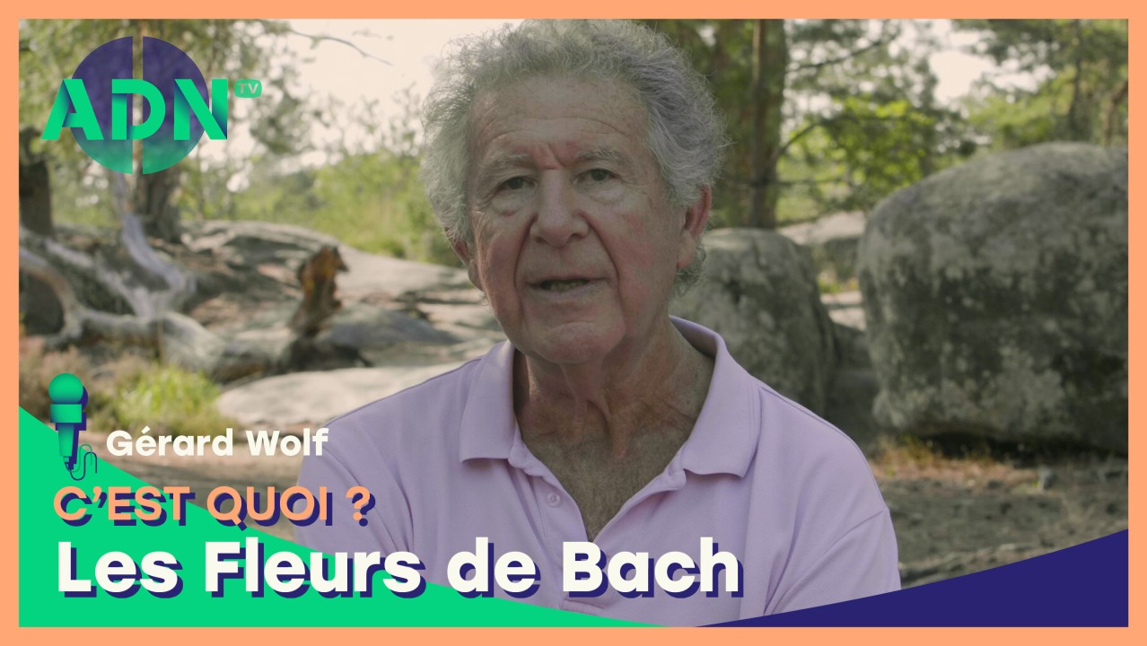 Les Fleurs de Bach, c'est quoi ?