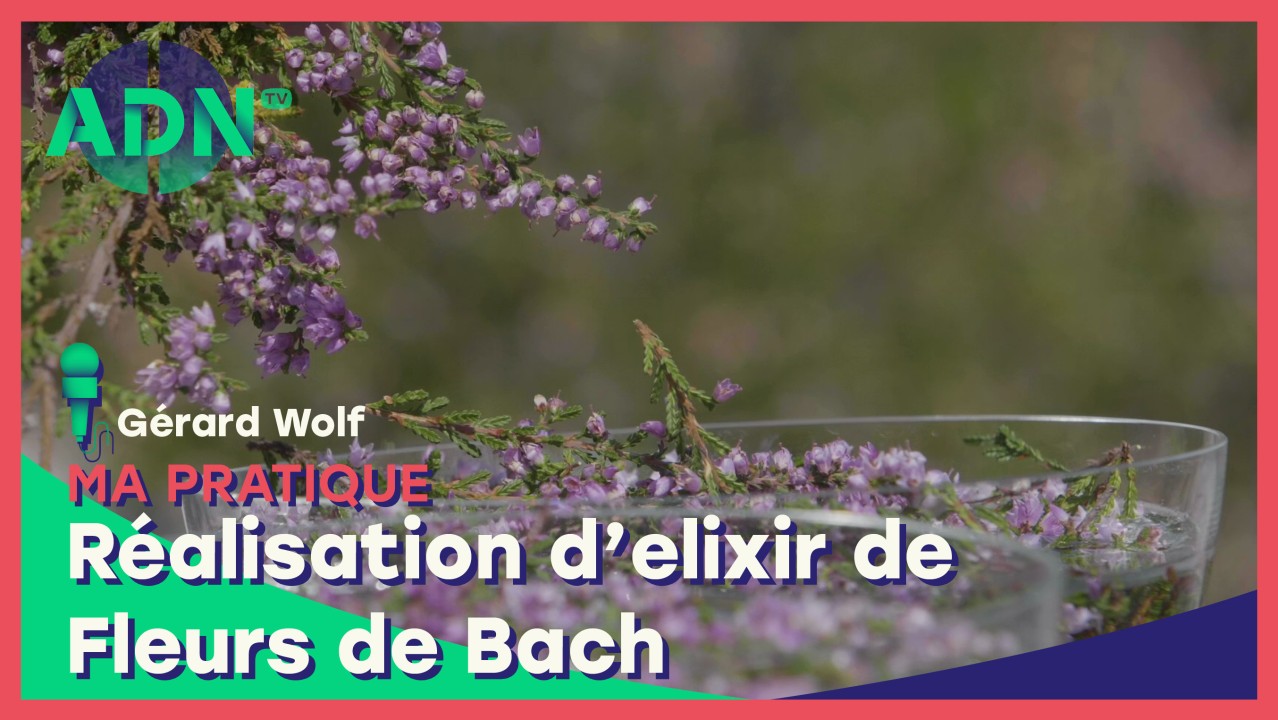 Ma pratique : Réalisation d'elixir de Fleurs de Bach