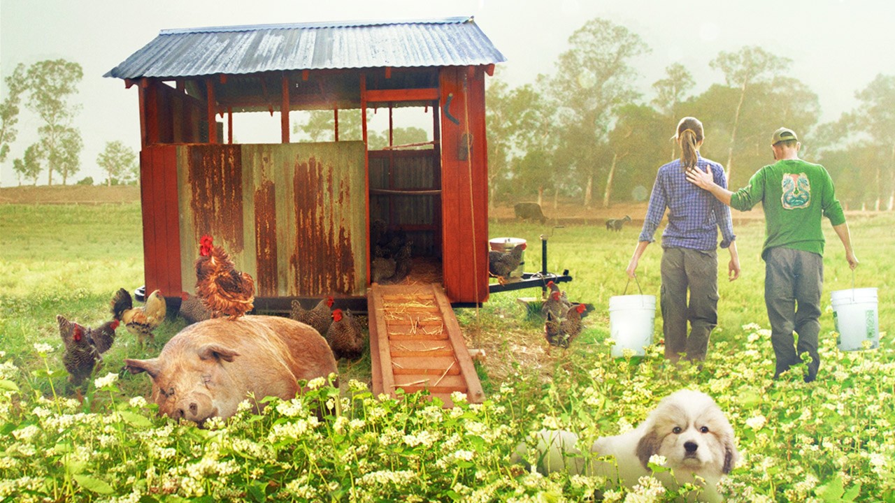 La fattoria dei nostri sogni