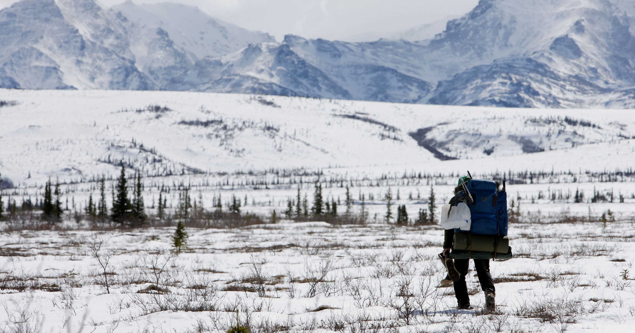 into the wild - nelle terre selvagge