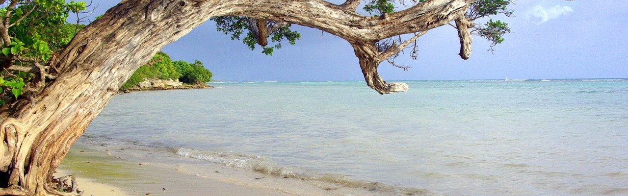 Quiz - Antilles Françaises