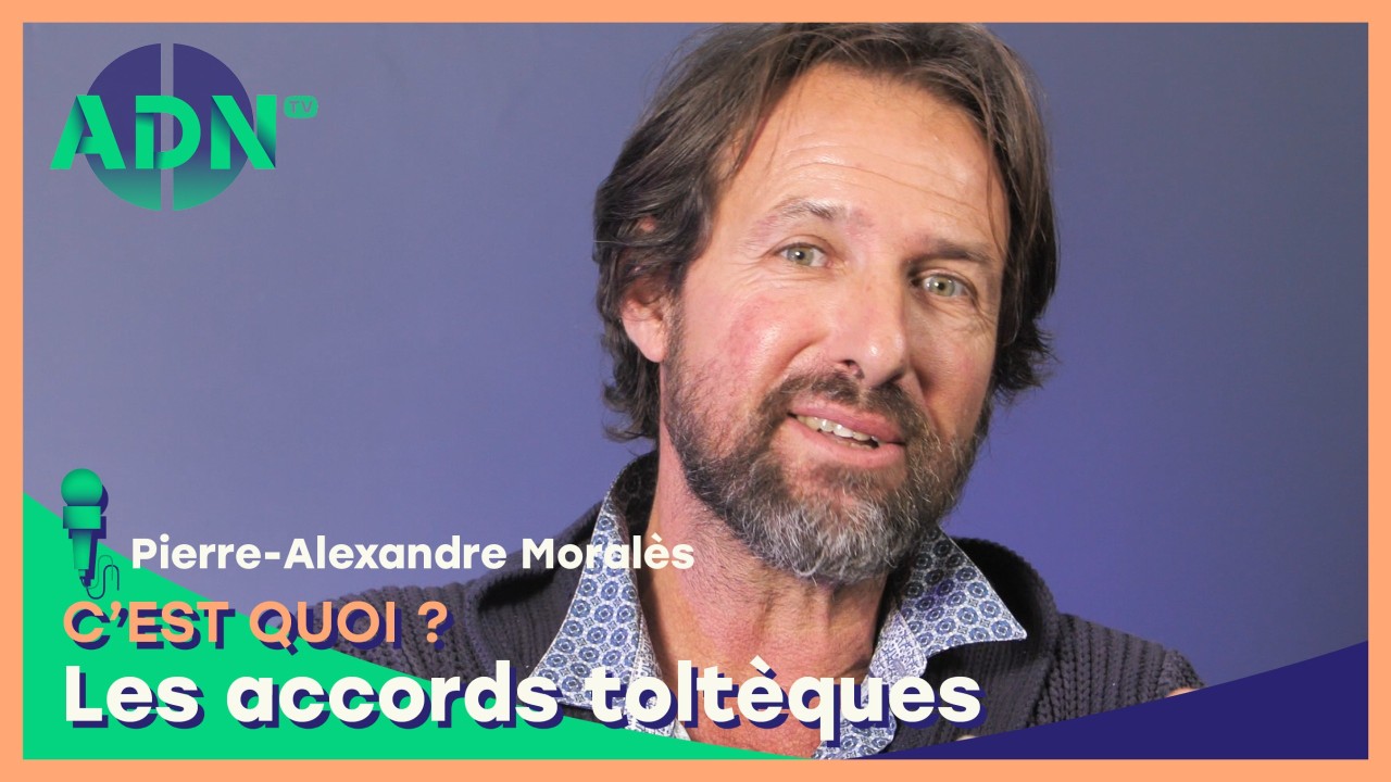 Les accords toltèques, c'est quoi ?