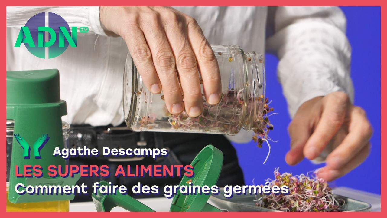 Les supers aliments : Comment faire des graines germées