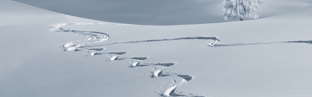 Quiz - Blanc comme neige