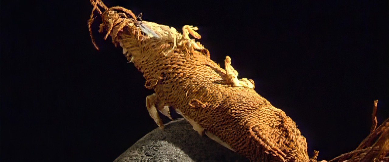 Te faufaa tupuna - Aide mémoire