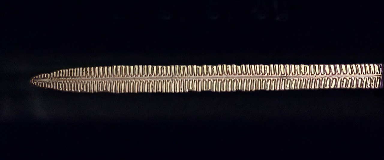 Te faufaa tupuna - Lance de Napuka