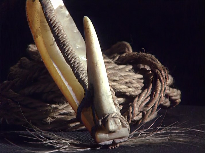 Te faufaa tupuna - Leurre à bonite