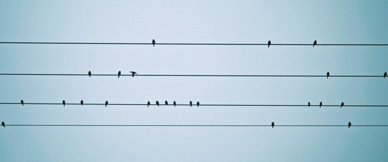 O Mistério de Howard’s Mill