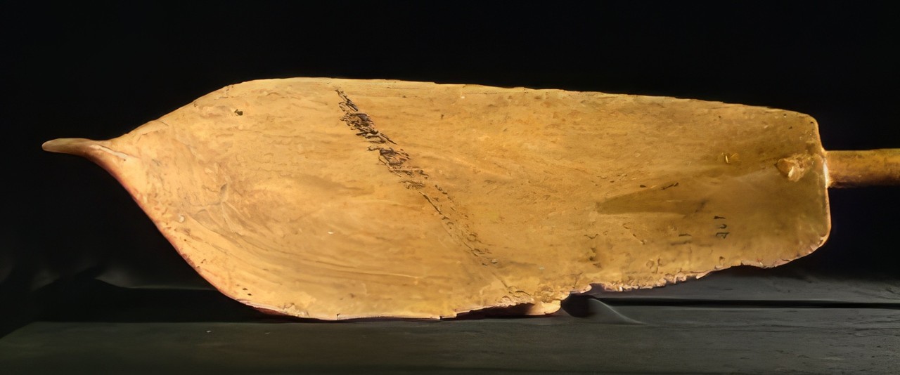 Te faufaa tupuna - Pagaie de Mangareva