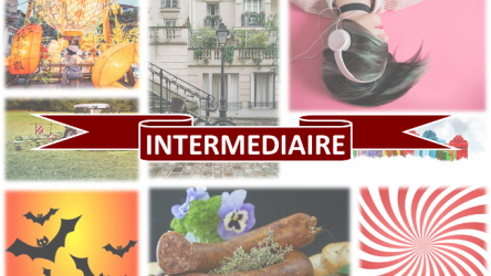 Quiz - Multi-Thèmes 2 - Intermediaire