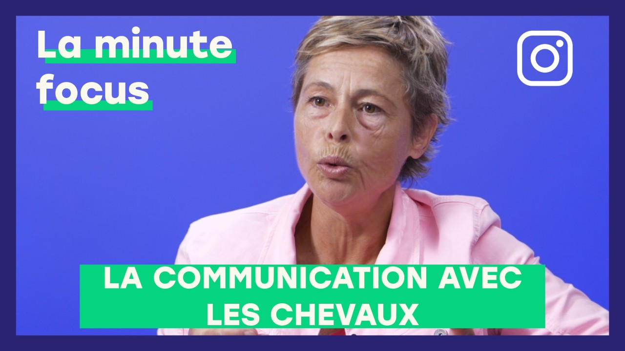 La communication avec les chevaux