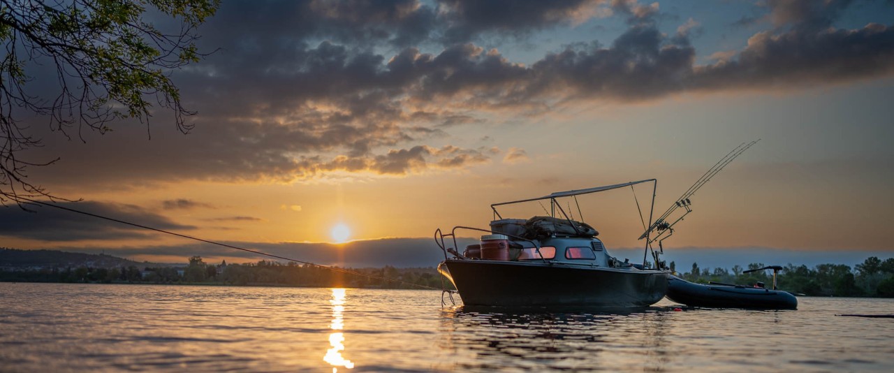 JOURNAL DE BORD SUR LE GRAND RHÔNE