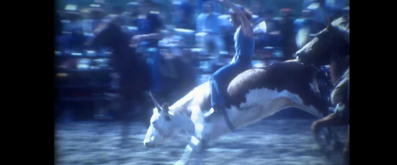 Mémoires d'Océanie - Rodéo à Pouembout