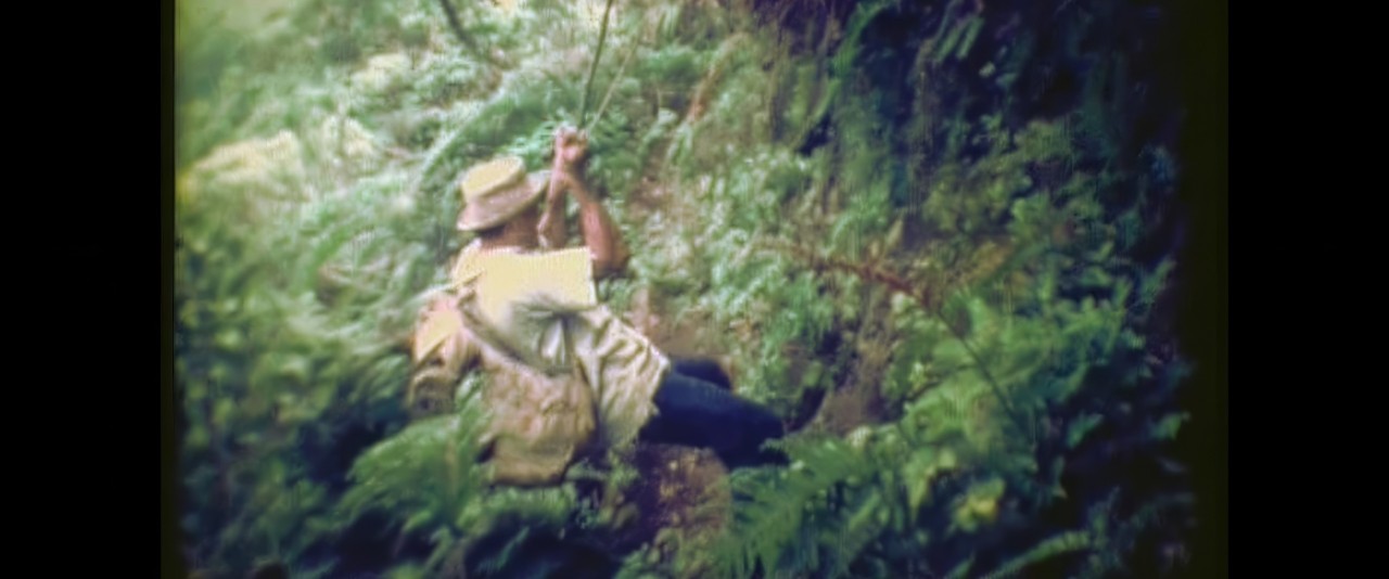 Mémoires de Polynésie - Escalade de l'Orohena