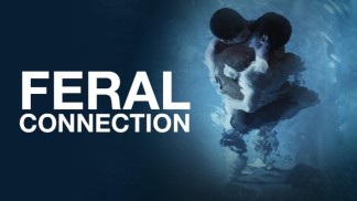 Feral Connection