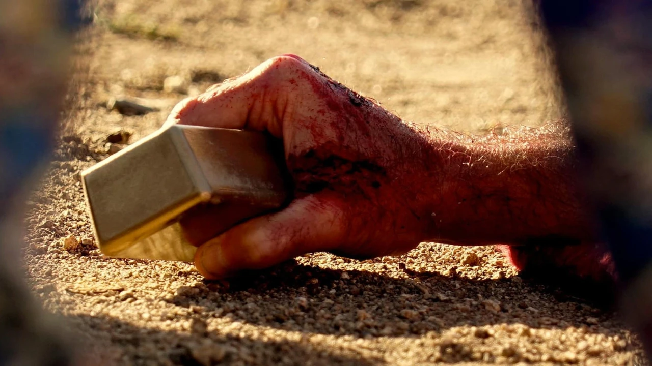 Dejad que los Cadáveres se Bronceen