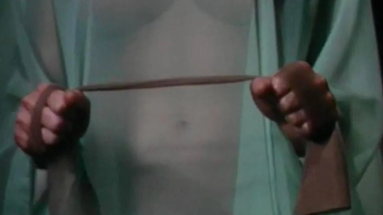 Las Esposas de Stepford