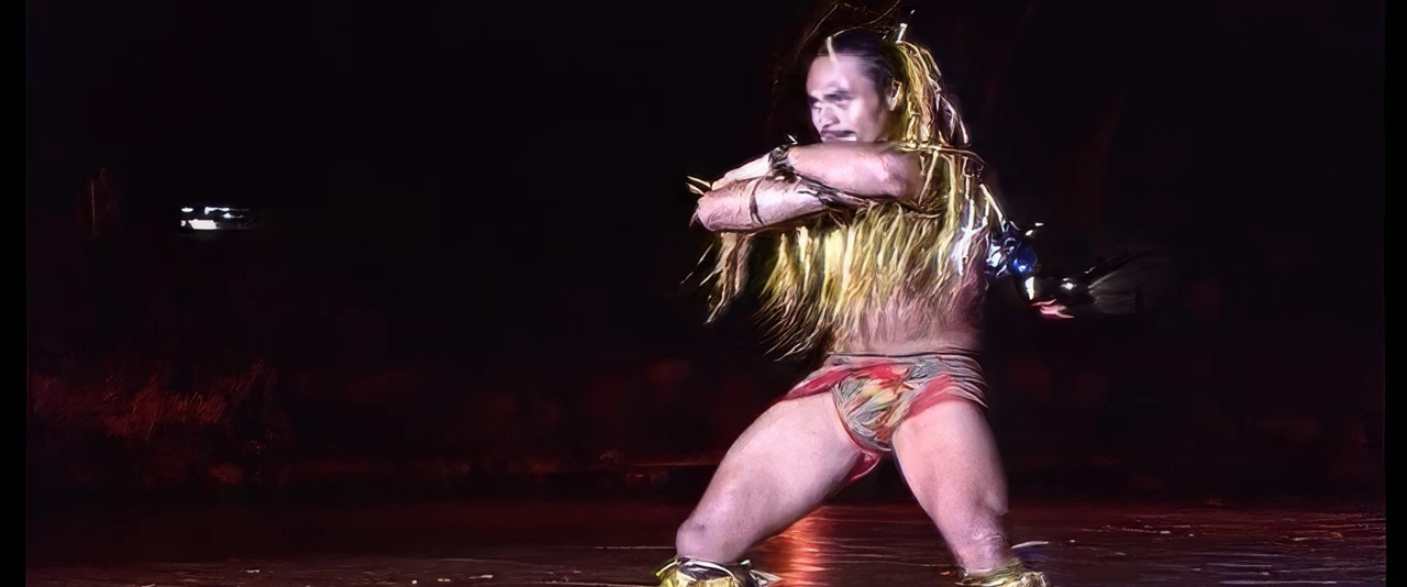 Heiva i Tahiti 1994 - Taute Paofai - Meilleur danseur Hura hou (Heikura Nui)