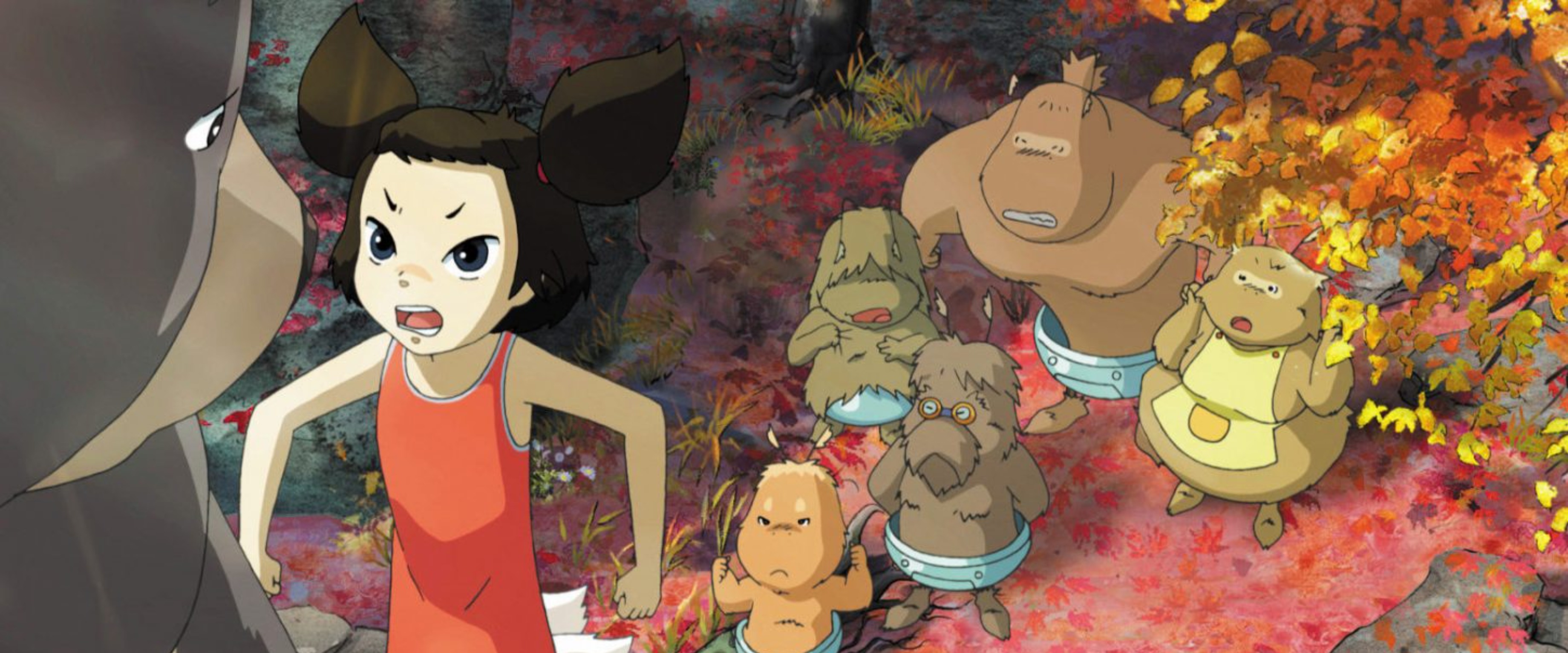 Yobi, le renard à 5 queues Hopikid