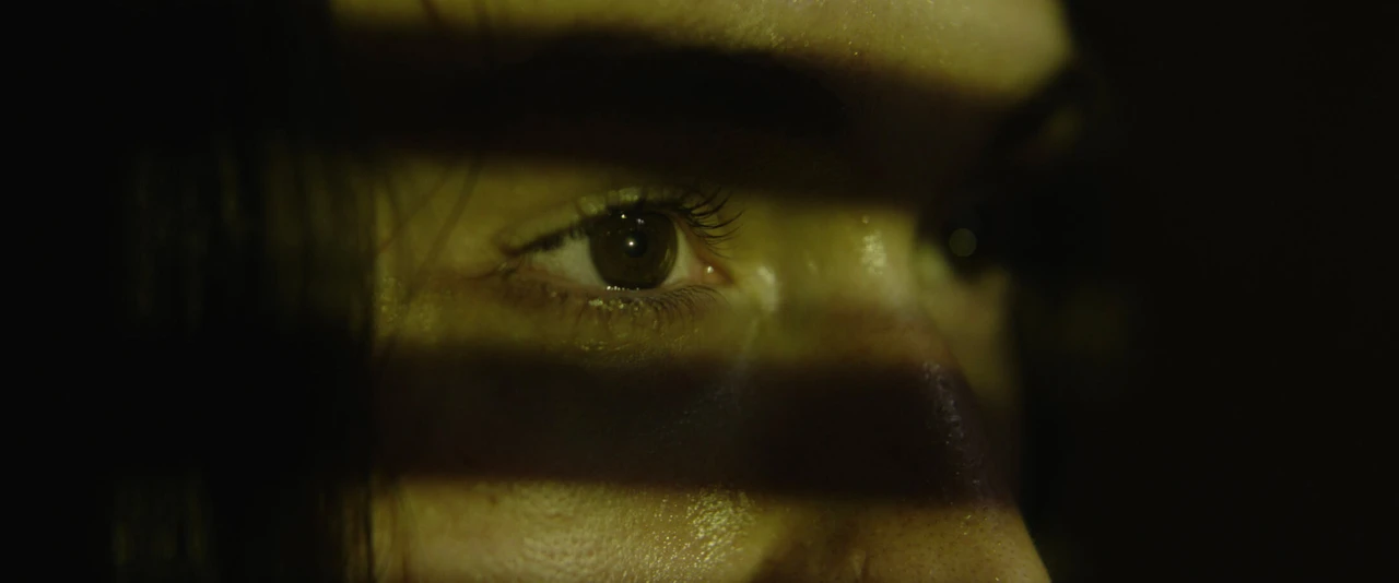 You'll Never Find Me