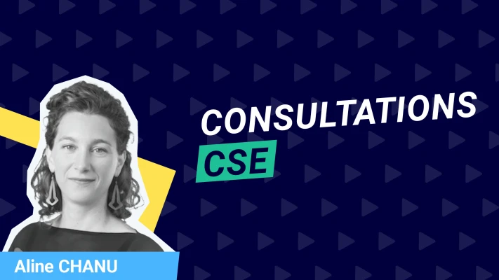 Consultations CSE
