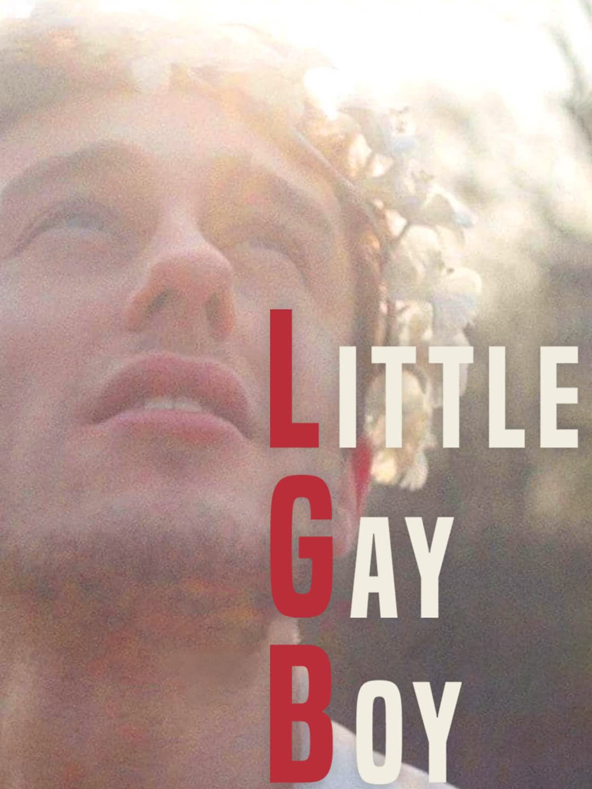 Little Gay Boy