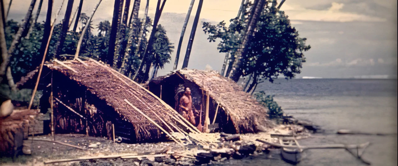 Collection HD - Tahiti Films - La pêche au poison