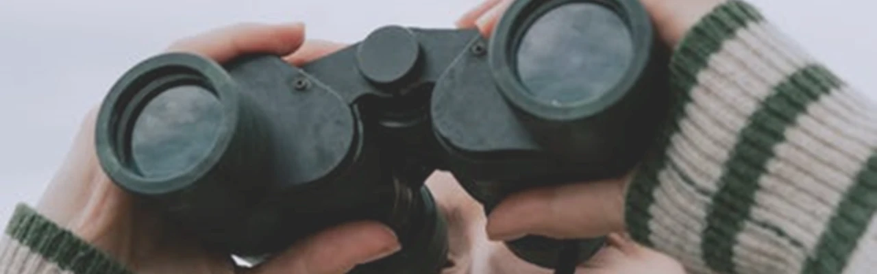 Atelier Mémoire - Jeux Visuels