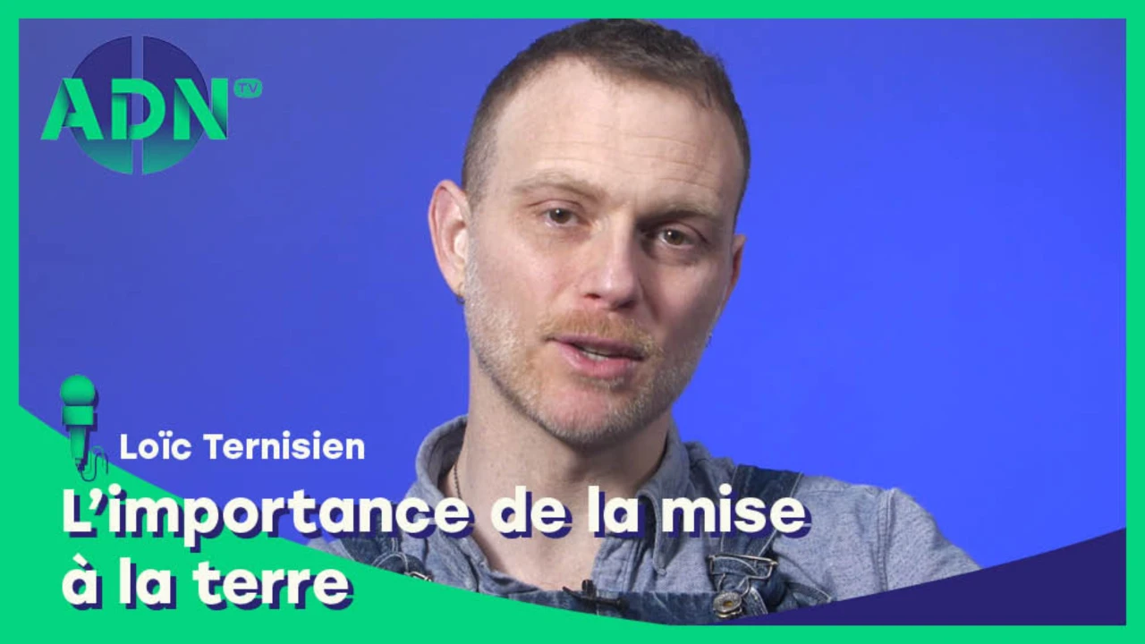 L’importance de la mise à la terre