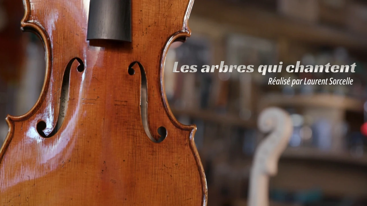 Les arbres qui chantent