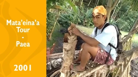 Mata'eina'a Tour - Paea